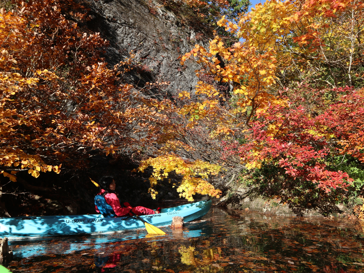 初心者でも簡単に操作できるので安心!