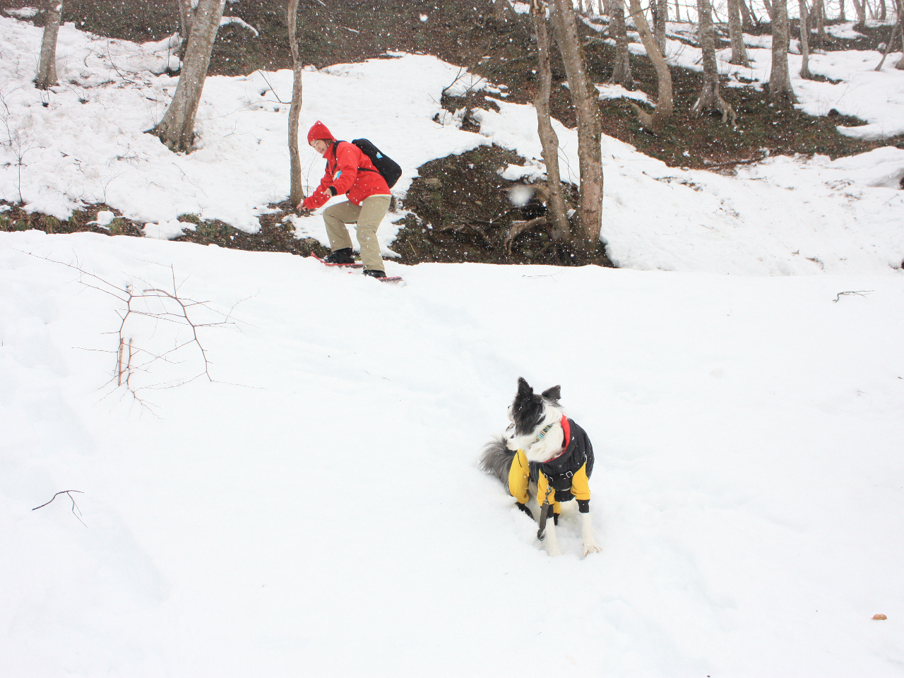 �傳�܂��C���������R�̎p�ɐM���������܂��O�O