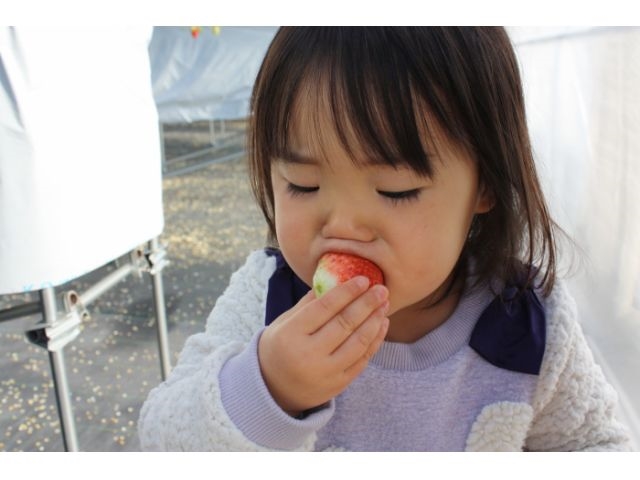 【岐阜・各務原/いちご狩り】≪2026≫早春プラン全国でまだここでしか食べ少られ...