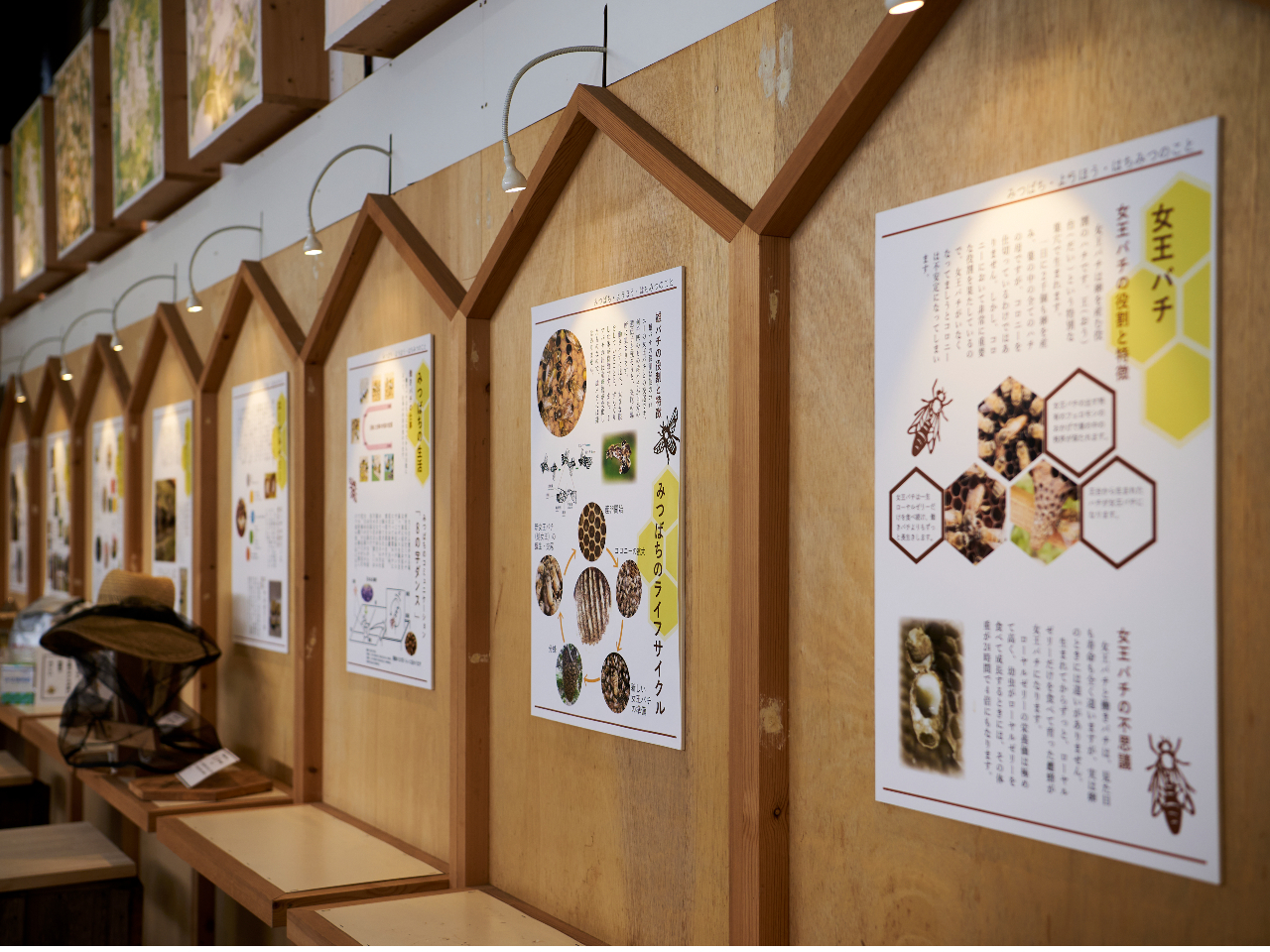 �݂΂��̂��Ƃ��w�ׂ�~���[�W�A��