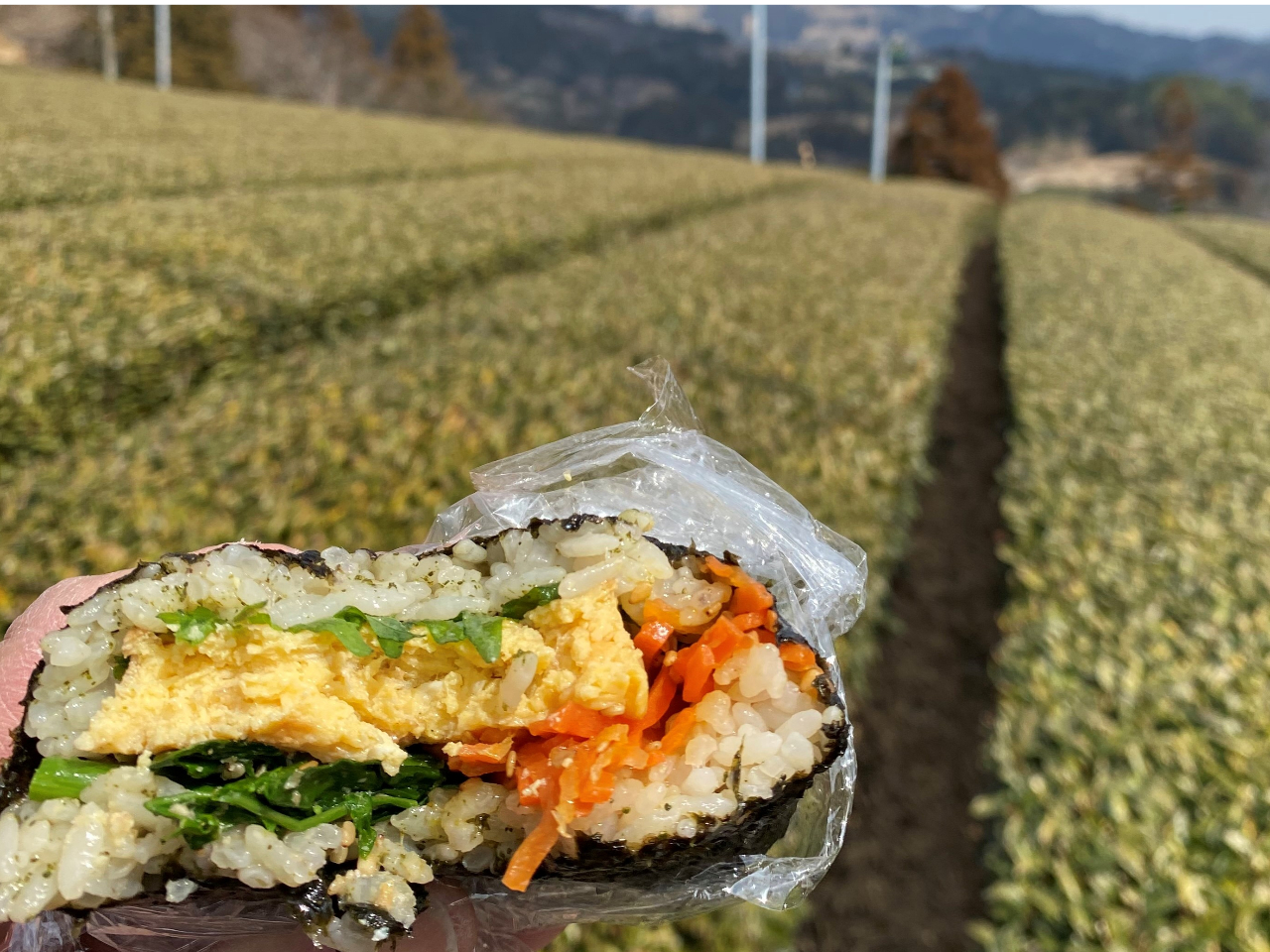 茶葉を使った具材として使った爆弾おにぎりは絶品!(茶葉以外の具材は季節によって異なります)