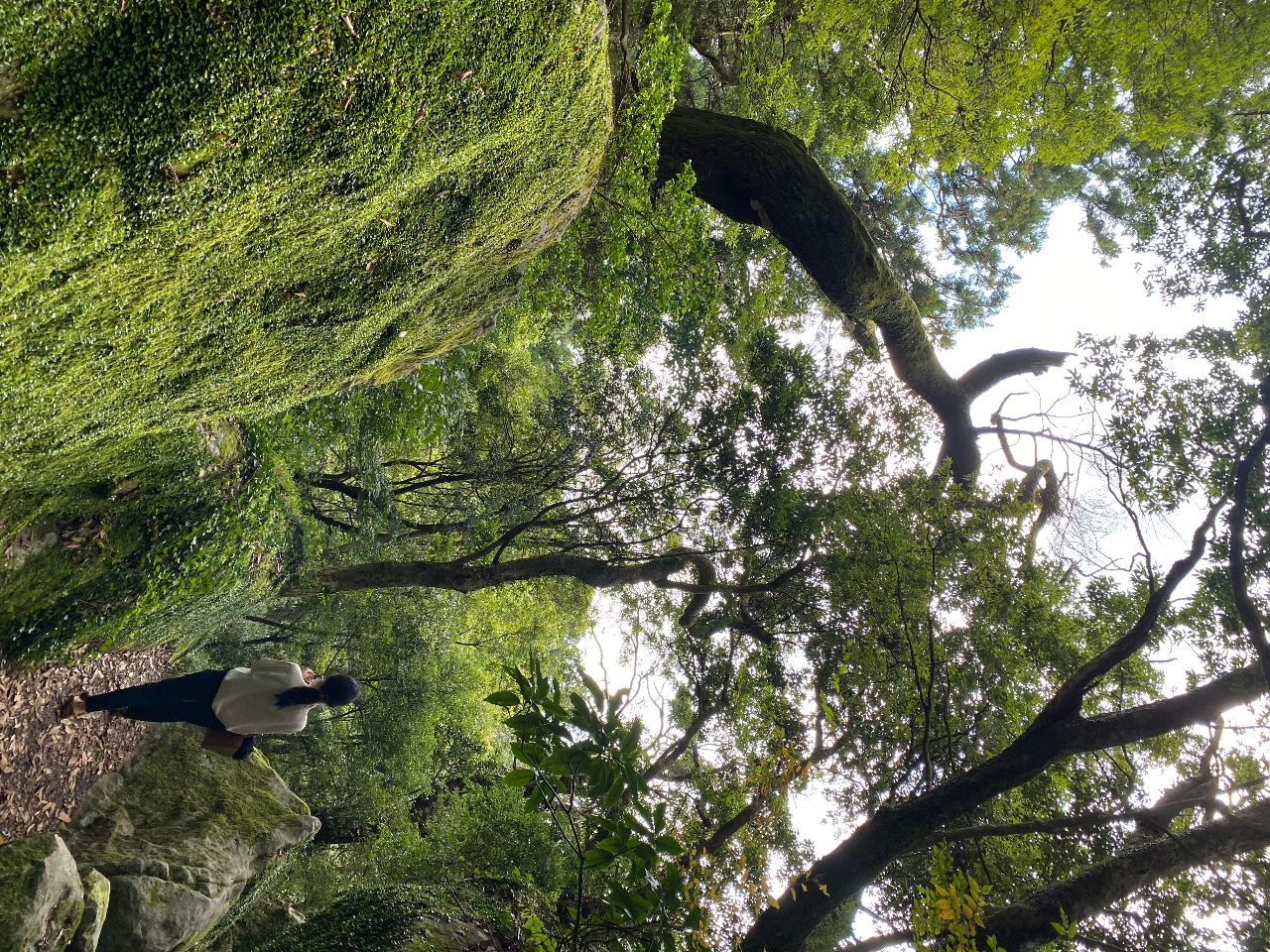 粟ヶ岳山頂にあるパワースポット「磐座(いわくら)。巨岩は横たわる原生林はとっても神秘的!