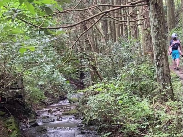 整備された山道を通り、気持ちの良い森の中を進んでいきます。