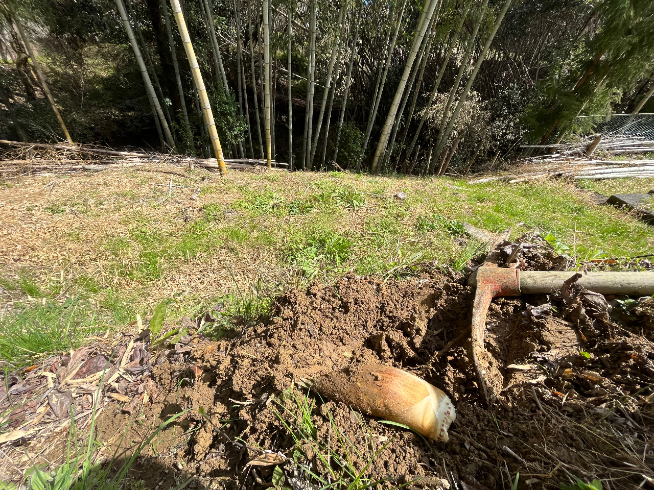 2023�N��3��19���Ƀ^�P�m�R���o���I�I