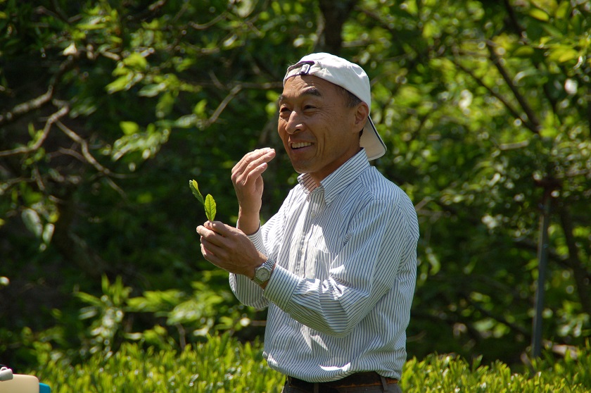 �_�Ƃ���̑f�G�ȏΊ炪�I