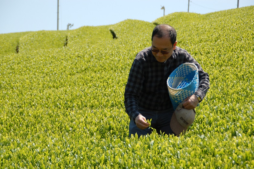 ���Ă�Ў�ɒ��E�݂��I