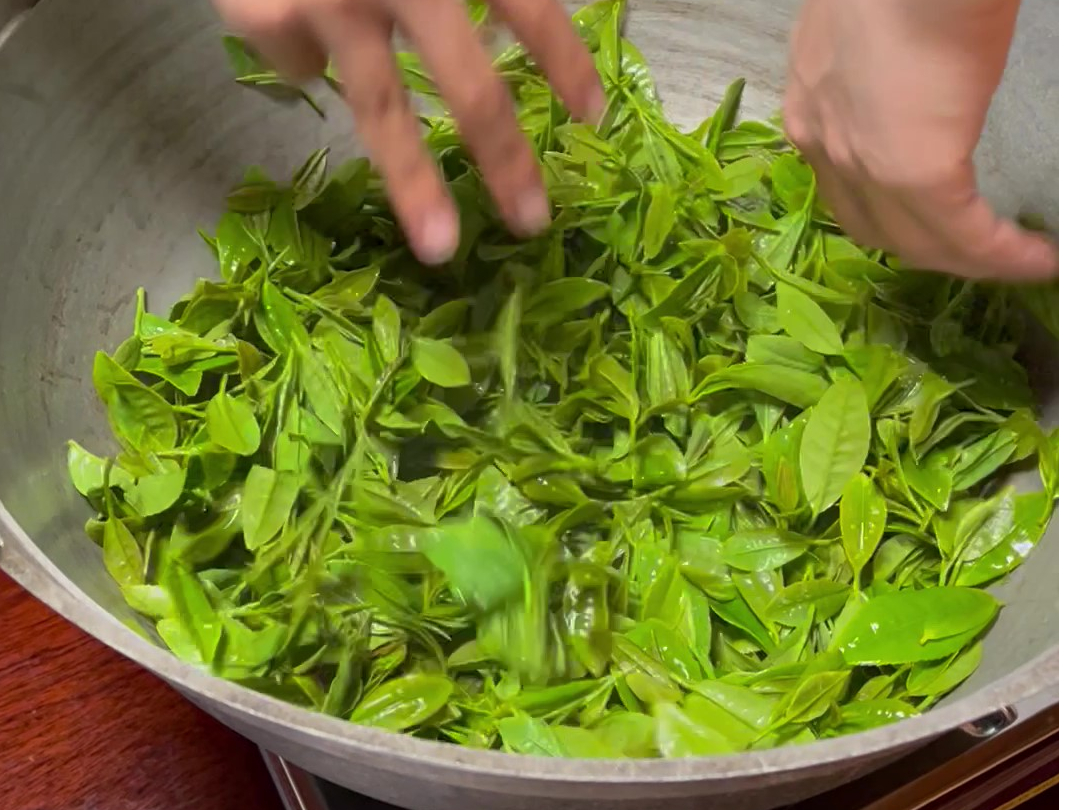 瑞々しい生葉をこれから美味しい茶葉に変身させよう!