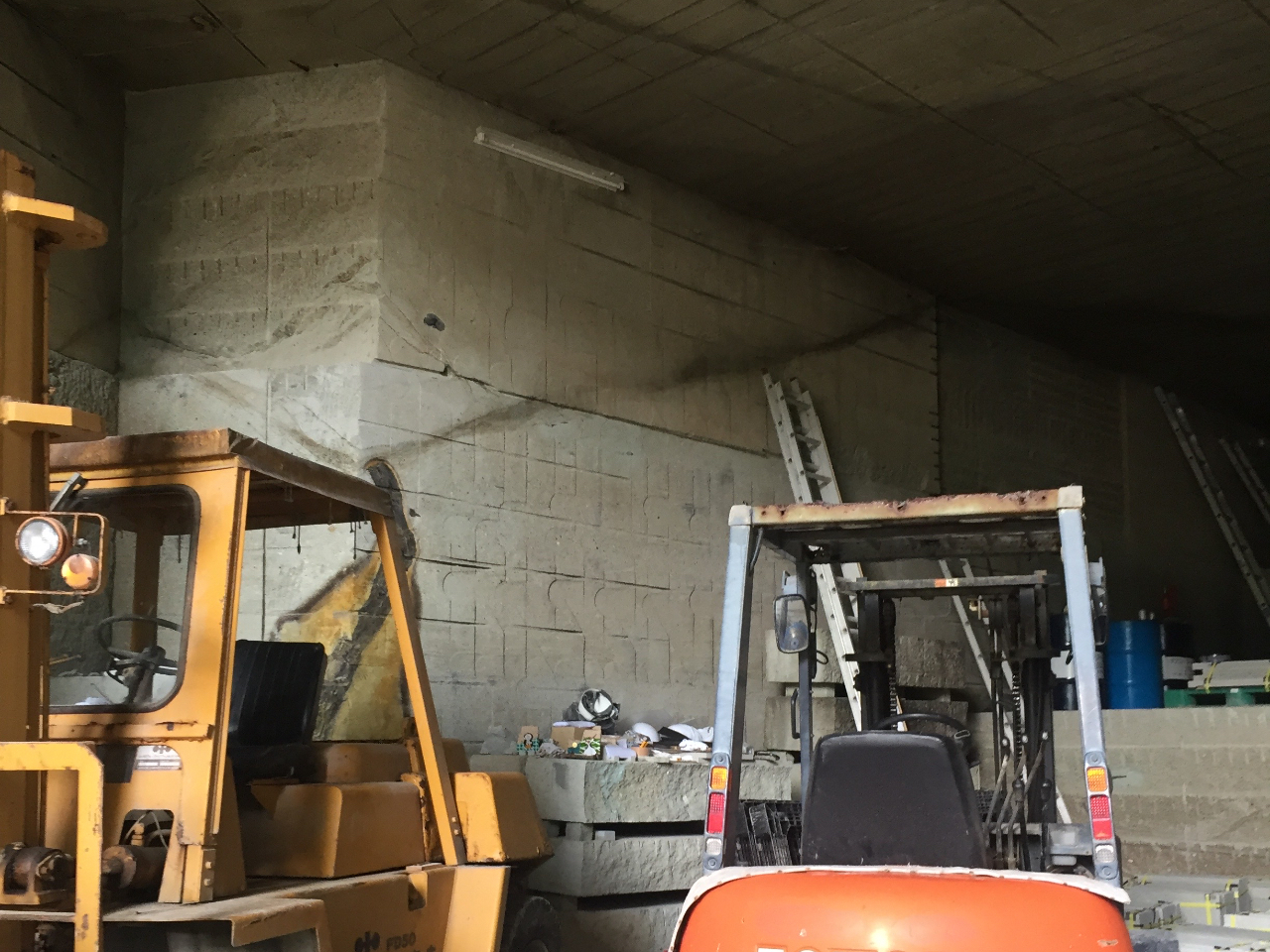 入口付近。壁面を見ると色々面白いです。珍しいものが珍しい状態で見えますが、どこに何があるか分かりますか?