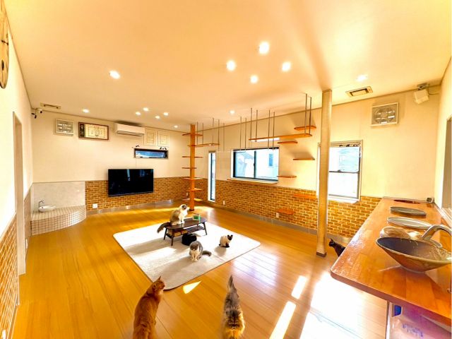 プライベートキャットルーム