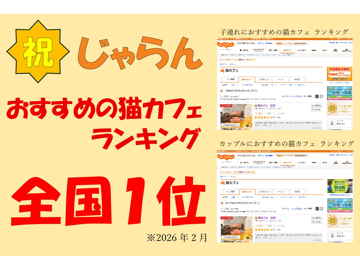 �q�A��ɂ������߂̔L�J�t�F�����L���O�E�J�b�v���ɃI�X�X���̔L�J�t�F�����L���O�őS���P�ʂ��L�^�I��2026�N2���i�����L���O�͐����ϓ��j