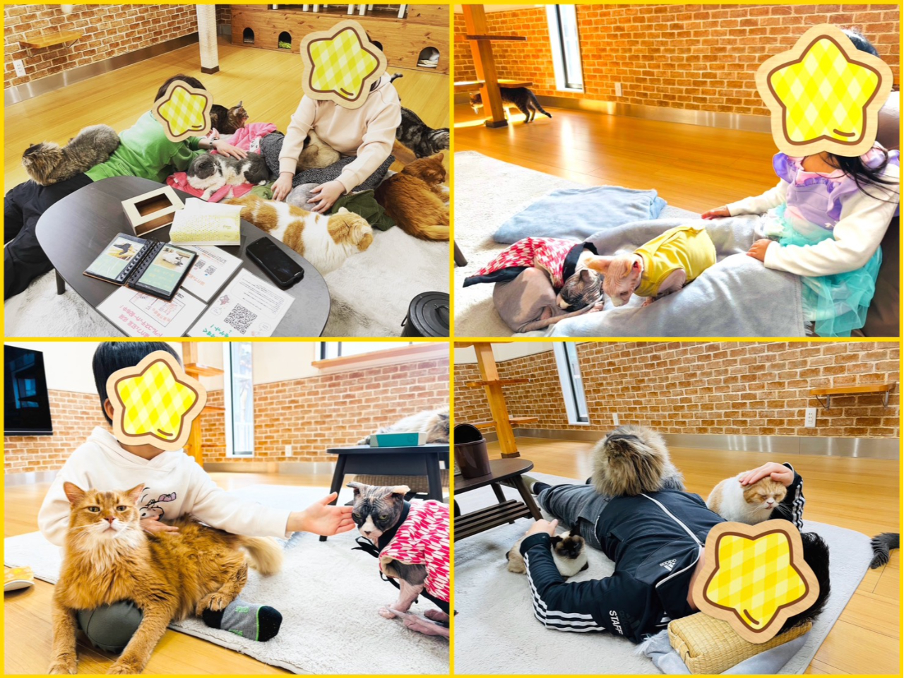 ���ݐؐ��L�J�t�F�@�L�J�t�F�g�t�y���{���s�z�@���q�l�̗l�q