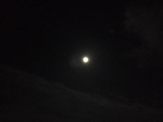 森の遊びの達人が神秘的な夜の森をご案内 ワクワク ドキドキ の真っ暗ナイト森林ウォーク q付き 特定非営利活動法人時ノ寿の森クラブ じゃらん遊び体験