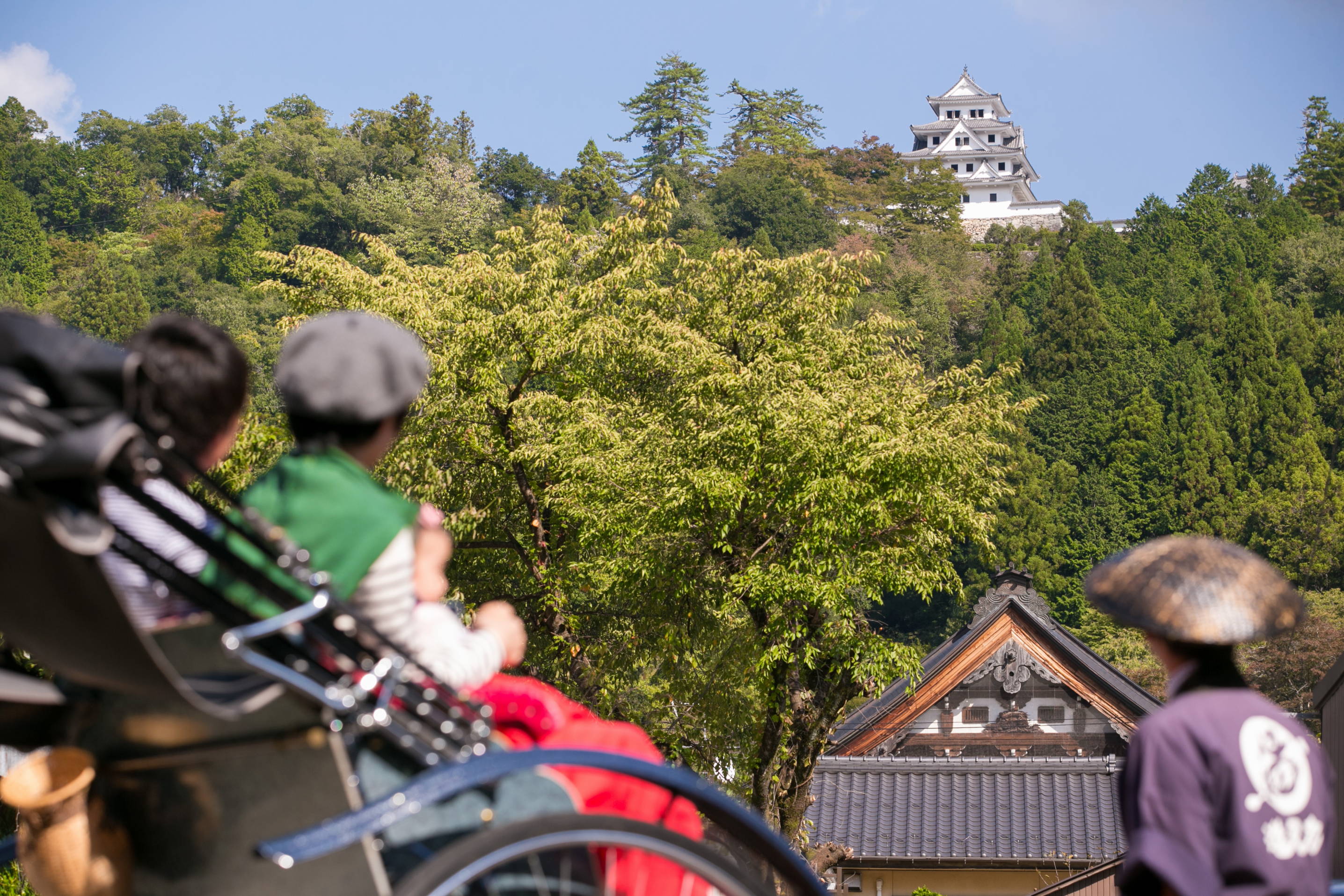 郡上八幡には「最も美しい山城」と呼ばれる郡上八幡城があります。歩いても30分ほどで行けますが、郡上八幡の観光の最後に、車で上がる事をお勧めします(笑)