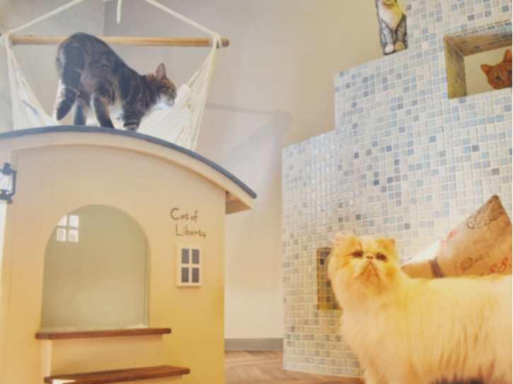 LƐGꍇƂȂASĔLƐGꍇĒ܂B