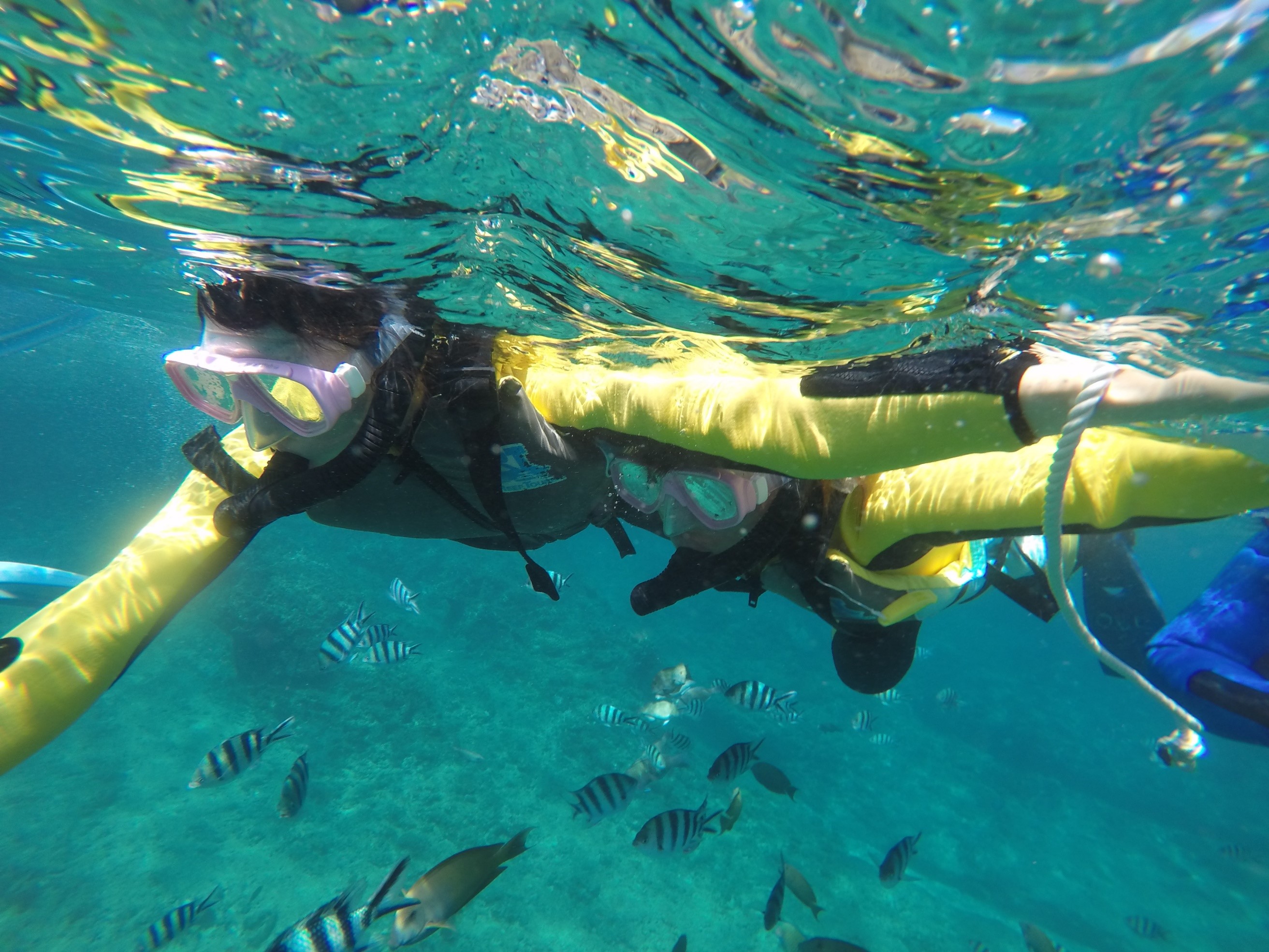 Vm[P̌ցȊlC̃jɂ邩I