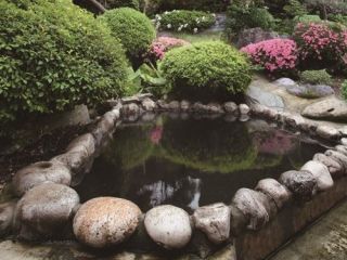 日帰り入浴 黒づくし定食 休憩所利用 日本一黒い湯で美人の湯と言われるモール温泉に浸かろう 東北温泉 じゃらん遊び体験