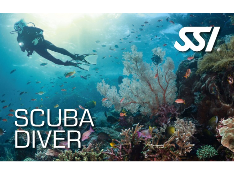 SCUBA DIVER CJ[h@uKȊOɊCmK12_CuXL_CrOK{ƂȂ܂Biʓrpvj