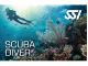 SCUBA DIVER Cカード 当講習以外に海洋実習1日2ダイブ&スキンダイビングが必須となります。(別途費用要)