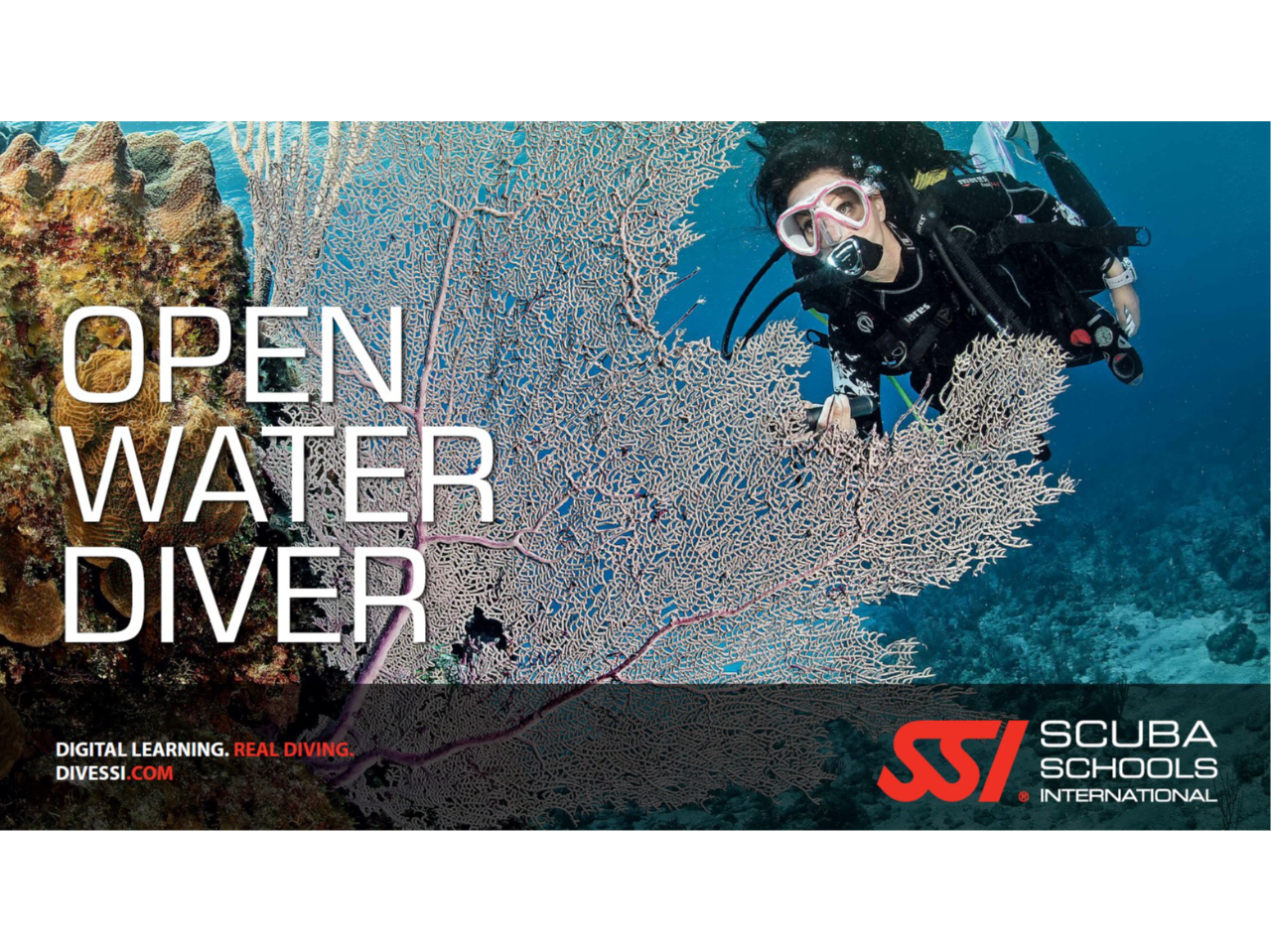 OPEN WATER DIVERR[X@uKȊOɊCmK2ԁi4_CuXL_CrOjK{ƂȂ܂Biʓrpvj