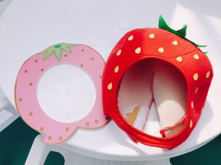 1時間食べ放題 石巻でイチゴ狩り 3種類のいちごが1時間食べ放題 仙台からアクセス 石巻河南icすぐ ベリーズファーム Fushimi じゃらん遊び体験