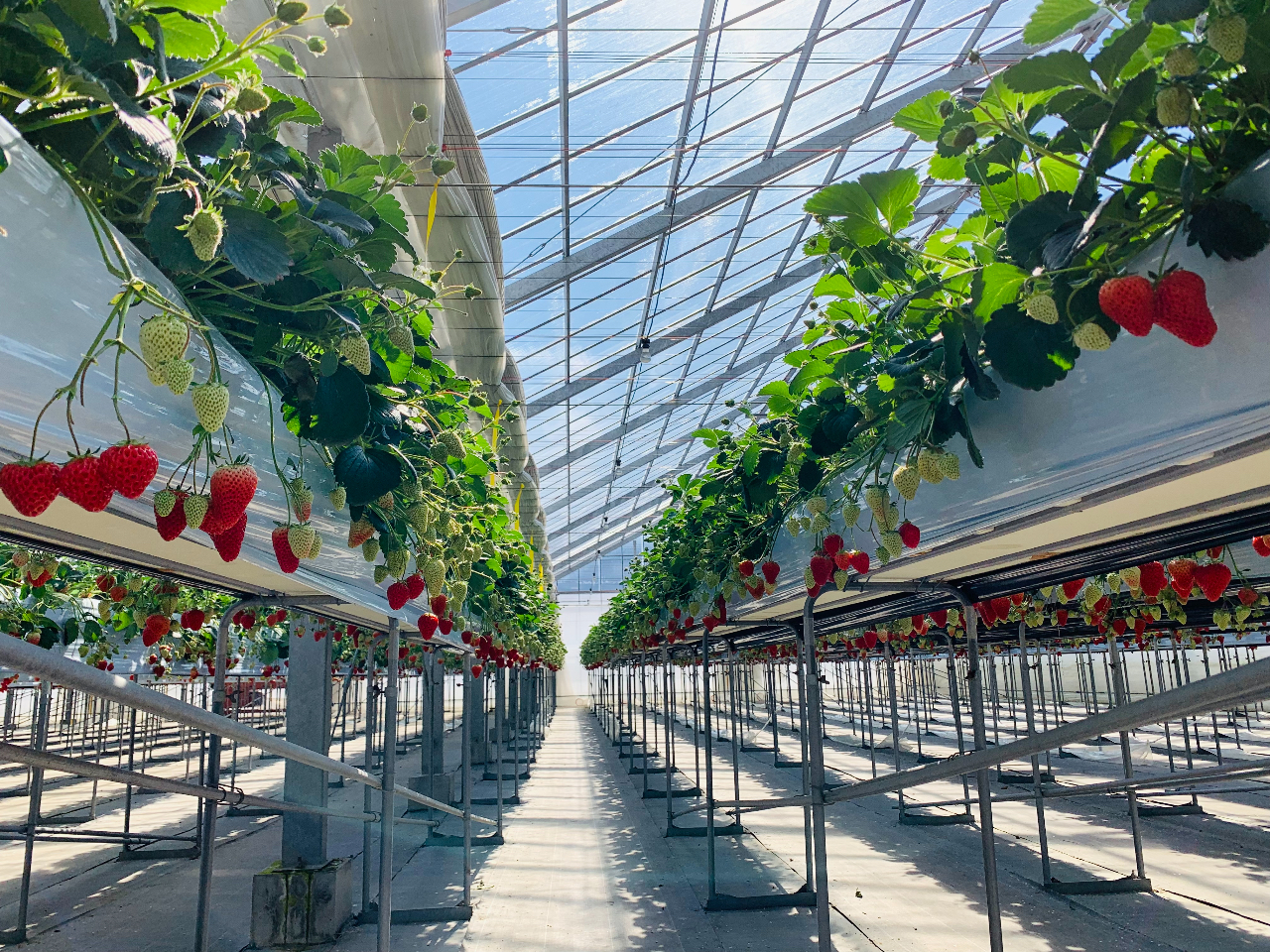 ���ݍ͔|�œE�݂Ƃ�₷���Ȃ��Ă��܂���