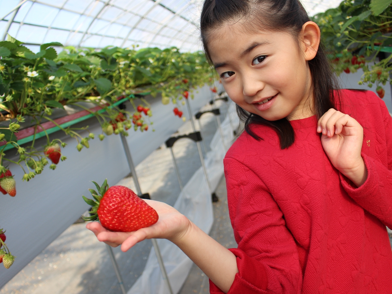 nEXɓƁuv `Ĥׂy݁`!(^^)!