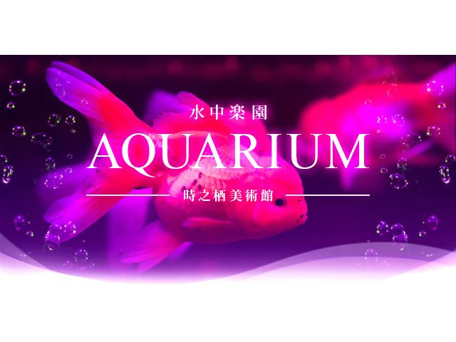lCITVłЉ܂yAQUARIUM`Pbgt̂ȃvł
