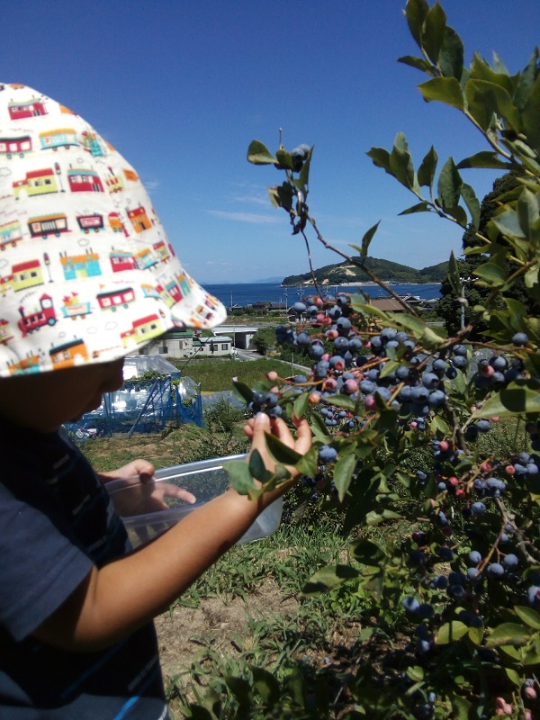 �������q���E�ݎ���ʒu�ɂ����