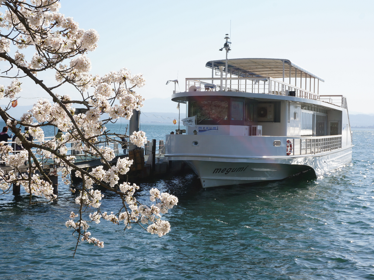 期間限定！【今津港発着】高速船で行く「海津大崎桜クルーズ2025」海津