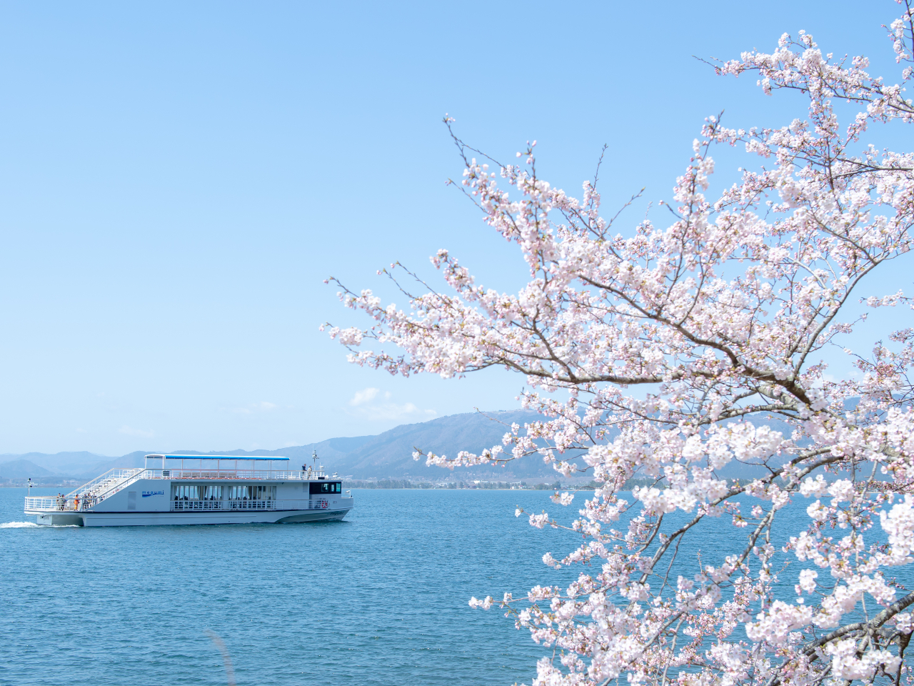 期間限定！【今津港発着】高速船で行く「海津大崎桜クルーズ2025」海津