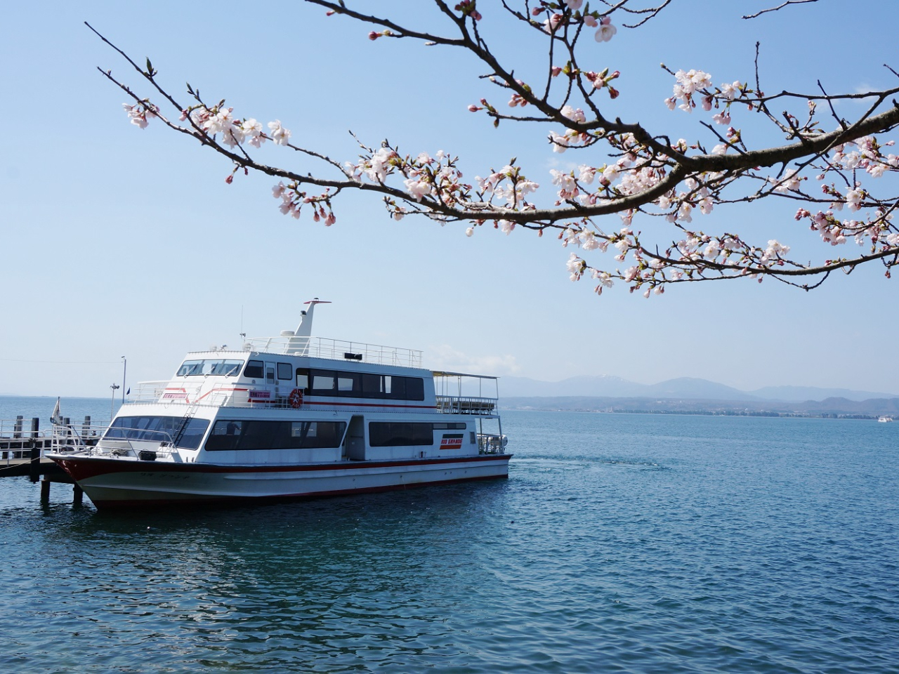 期間限定！【長浜港発着／高速船プラン】食事付セット！「海津大崎桜