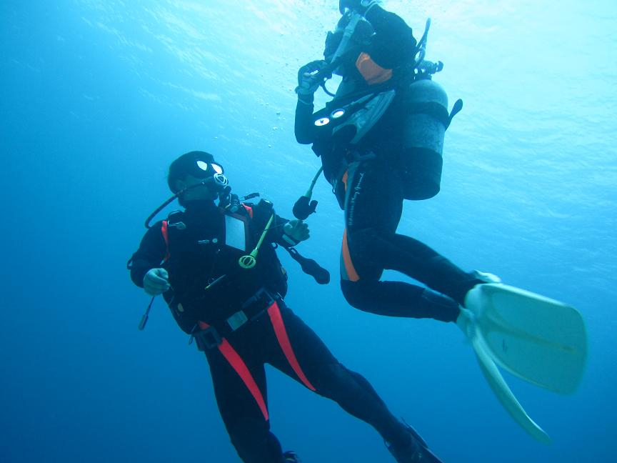 慣れてきたら少し深めのところへ移動して練習します