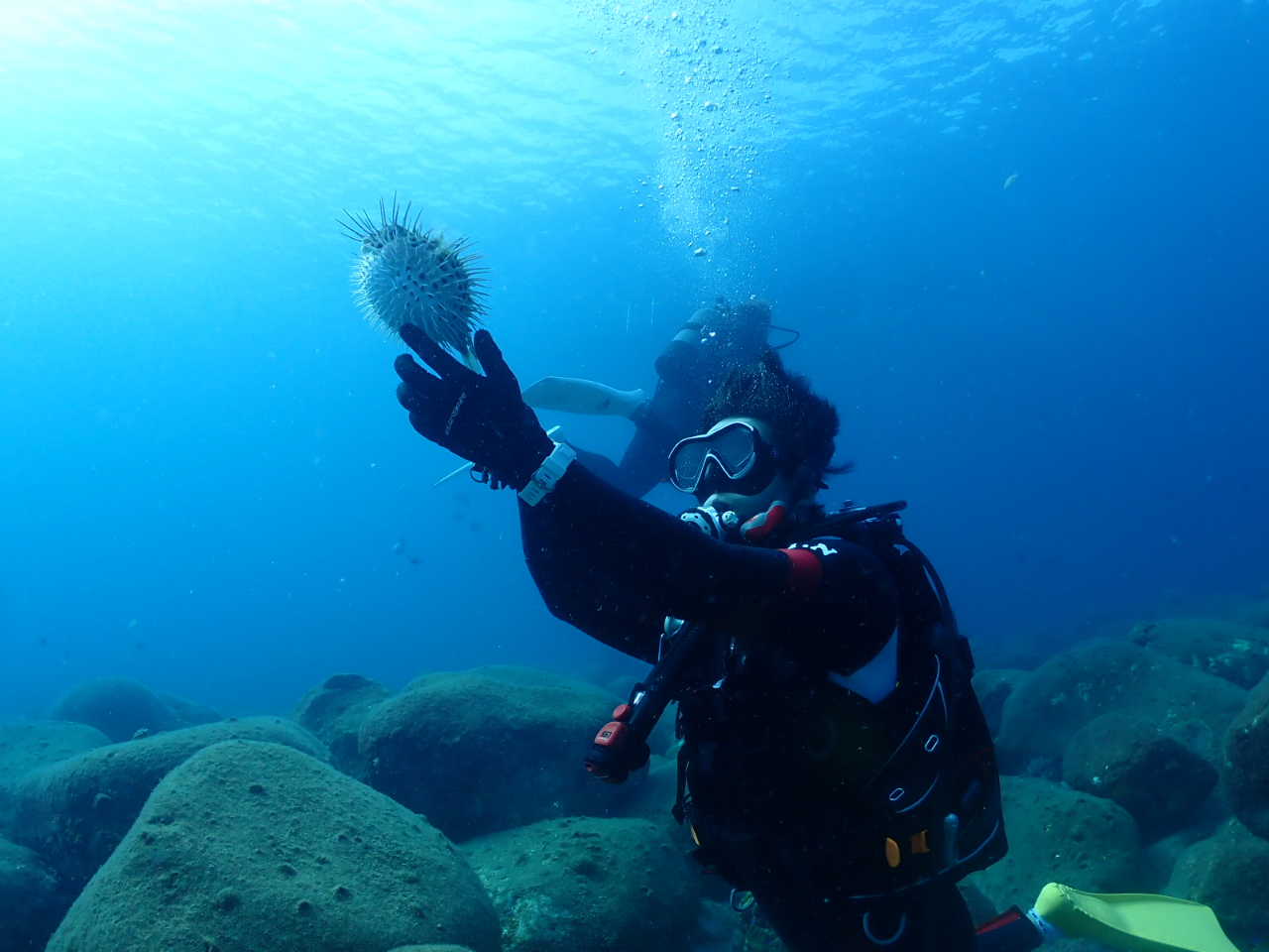 『お魚と遊ぶ』というダイバーだけの特権を感じれる神秘の世界へどーぞ♪