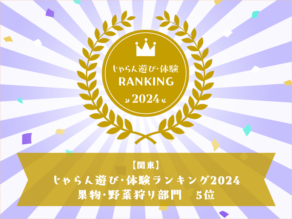 ������V�сE�̌������L���O2024���֓��u���b�N/�ʕ��E��؎���5�ʎ�܁��