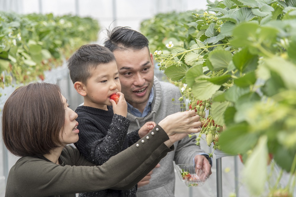 ���q�l�A��ł���