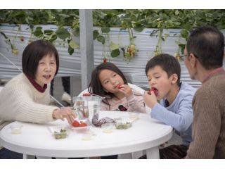 ファミリーでも♪