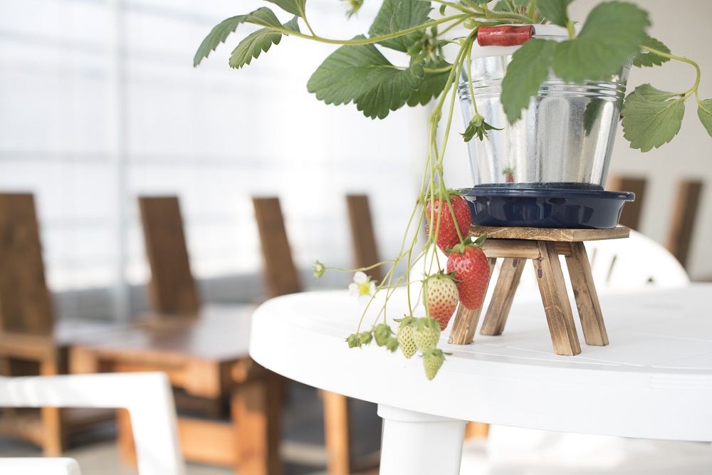 �����������Ă����������\���������܂���