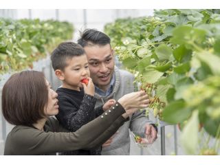 お子様連れでも♪