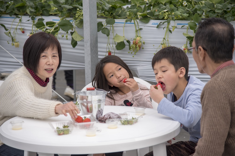 �t�@�~���[�ł���