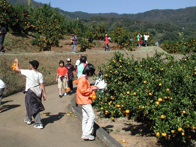 どなたでもお楽しみいただけます♪
