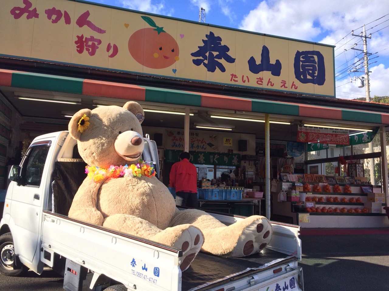 【静岡・伊東】すっぱーい!! 甘夏みかん狩り♪ 食べ放題+お土産付きプラン| 選...