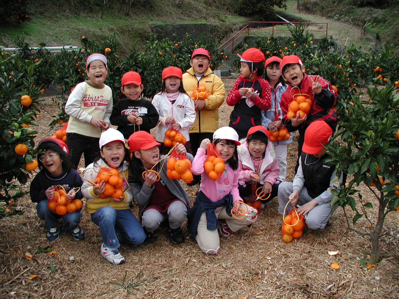 �݂���̖������łȂ��A�����ō̂�y�������̌����Ă��������܂���