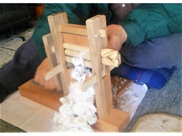 種切りの様子です。種と綿を分けています。