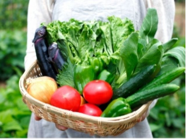 当園栽培の新鮮な野菜を使用したガーデンサラダ(えだ豆やきゅうりなど)をご用意しています。