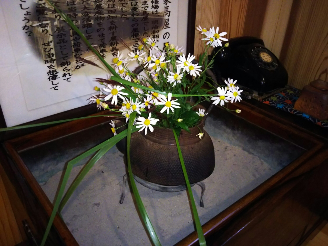 �ٓ��͒n���̉Ԃ𒆐S�Ɋ����Ă���܂��B