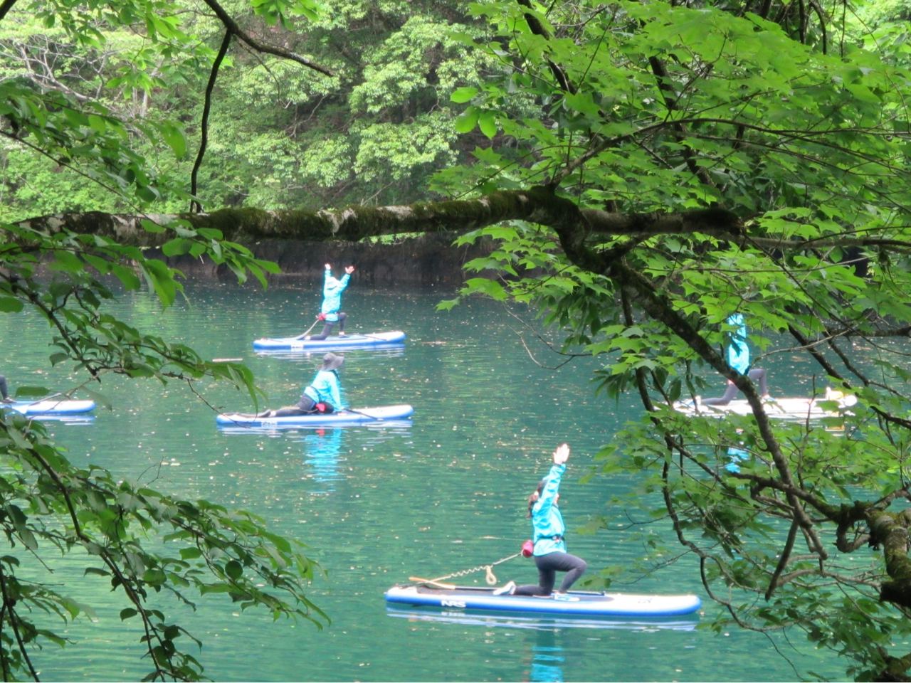 見た目よりも簡単なポーズがたくさんあります。