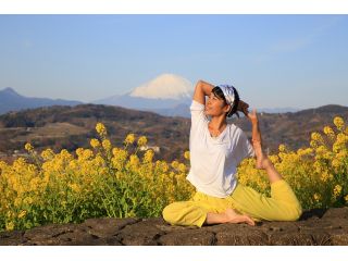 富士山を見渡せる菜の花畑