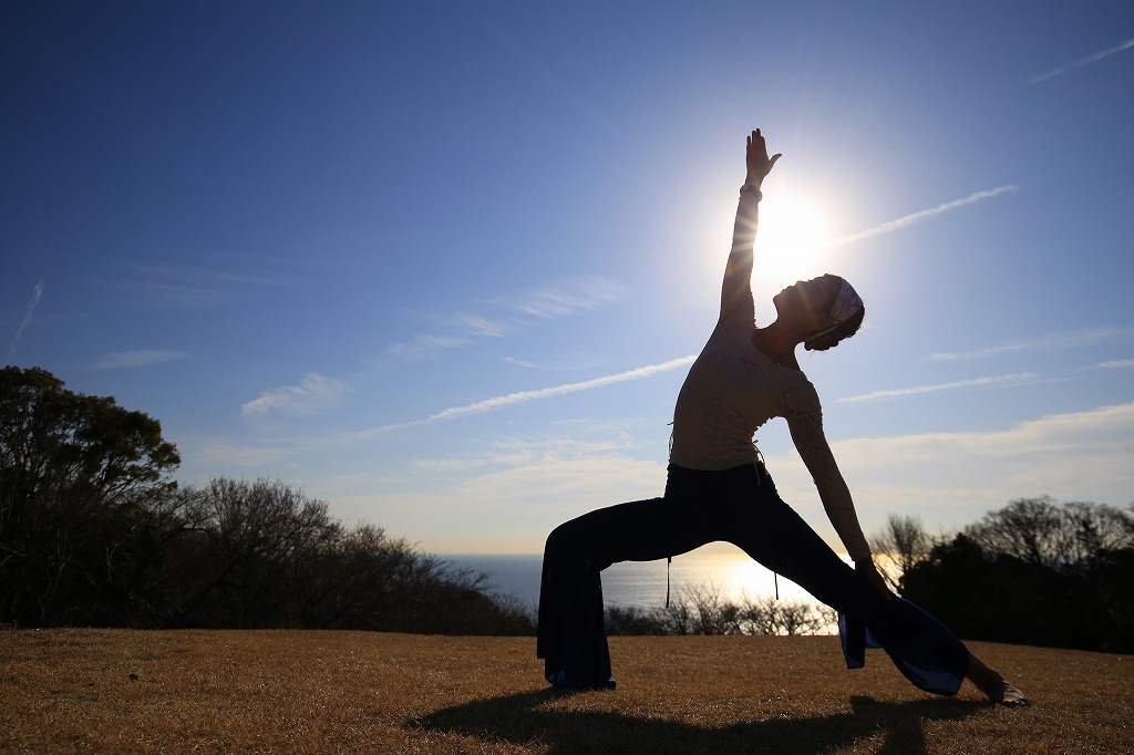 高台にあり、眺めがよく日向ぼっこに最適