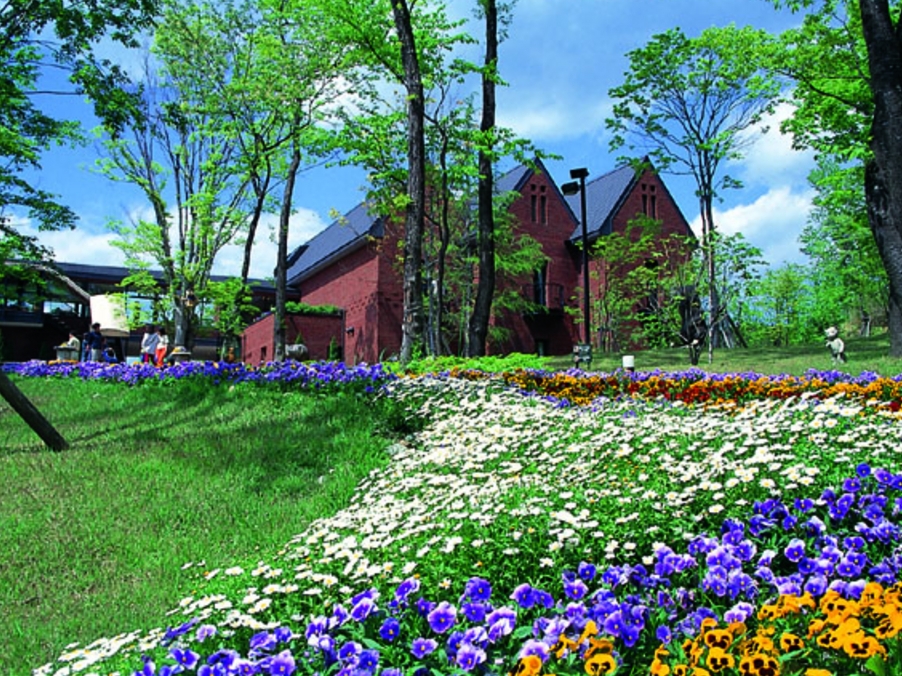 �ߐ{�̔��������R�̒��ł��킢���e�f�B�x�A�ɖ�����܂��񂩁�