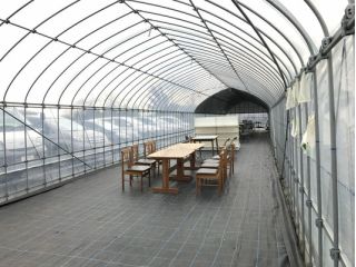 神奈川 秦野市 最大10種類のいちごが楽しめる いちご狩り30分食べ放題 コロナ対策実施中 村上いちご園 じゃらん遊び体験 神奈川 秦野市 最大10種類のいちごが楽しめる いちご狩り30分食べ放題 コロナ対策実施中 村上いちご園 じゃらん遊び体験